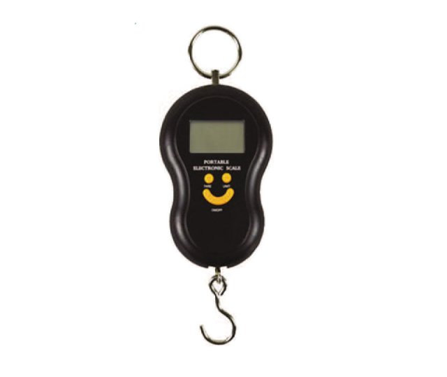 MISTRALL DIGITÁLNA VÁHA KC1 DO 50KG